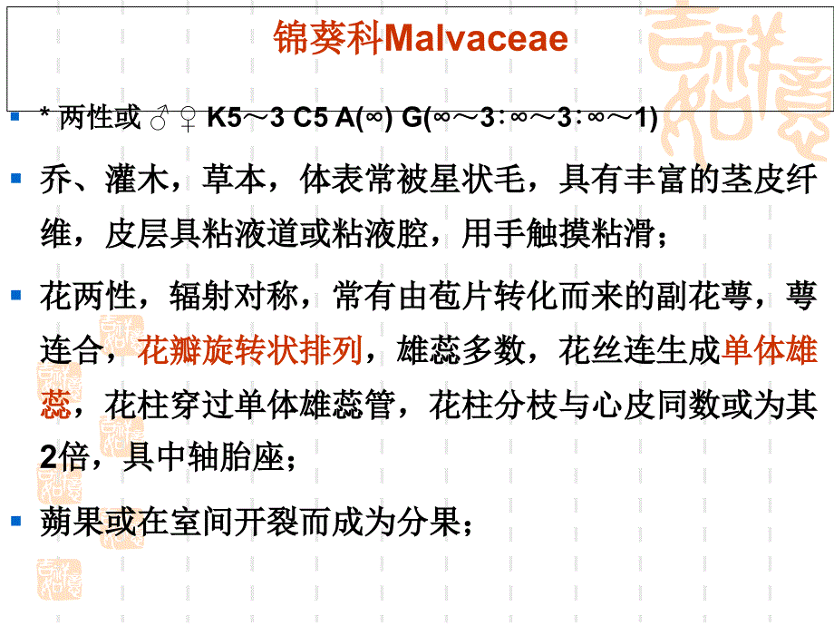 植物学教学课件：双子叶植物6_第3页