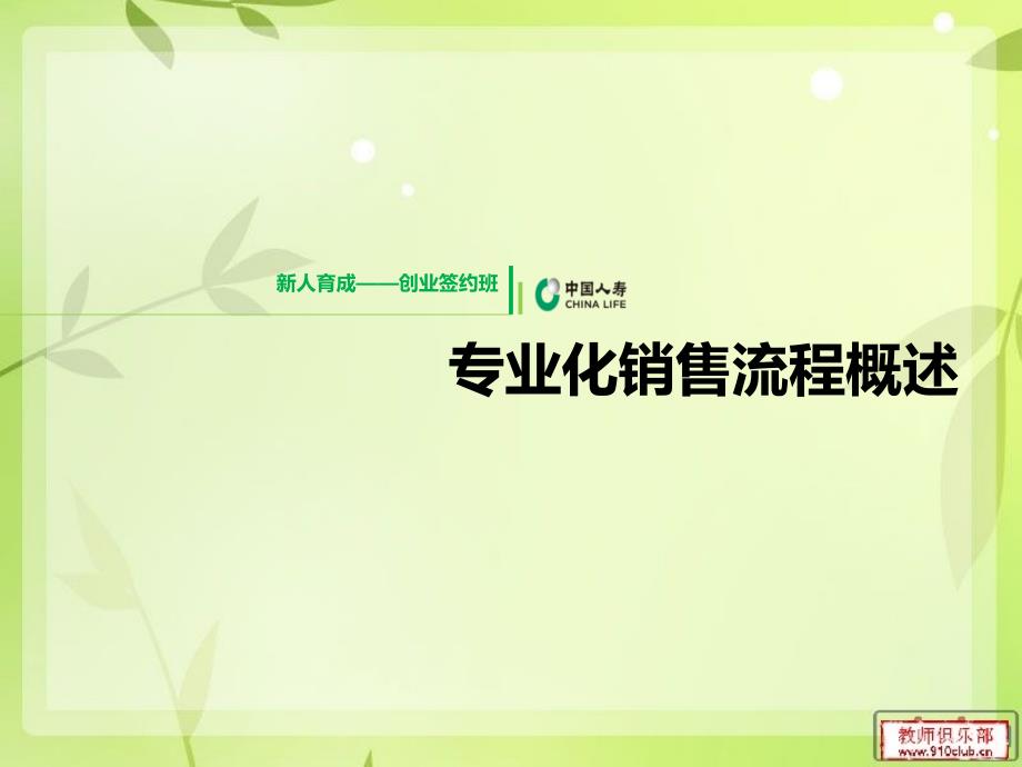 专业化销售流程概述 (1)_第1页