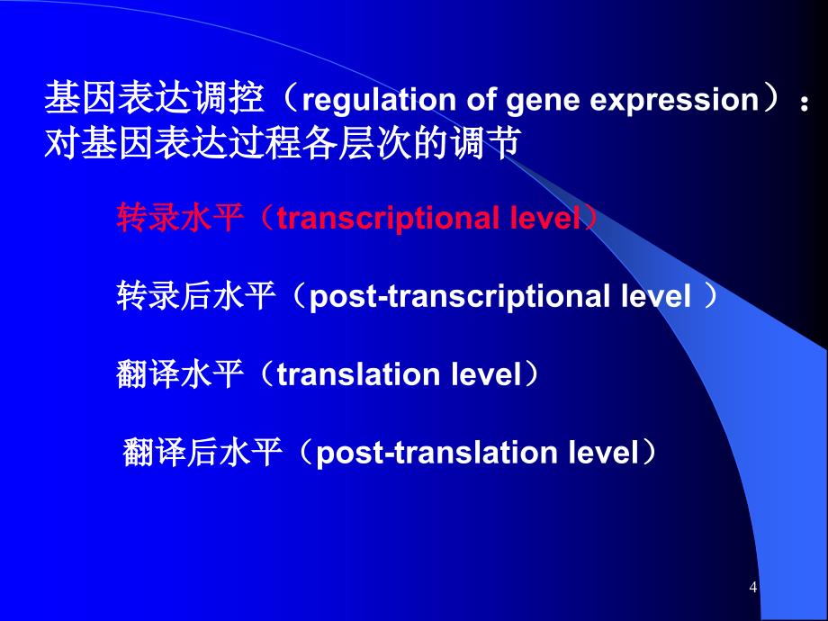 原核基因表达调控_第4页