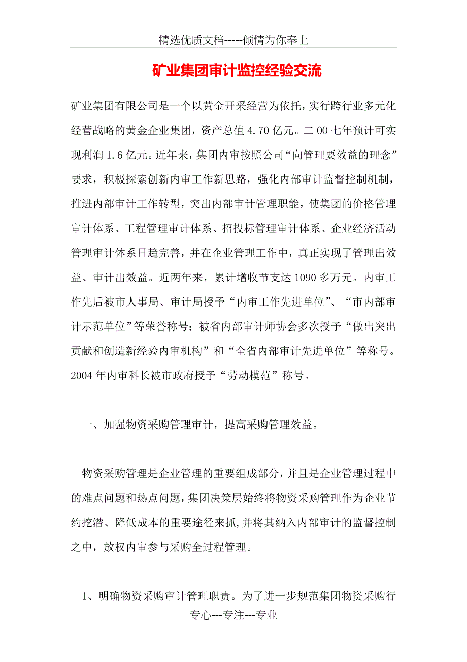 矿业集团审计监控经验交流_第1页