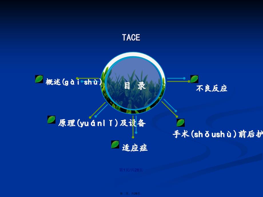 TACE肝动脉化疗栓塞术学习教案_第2页