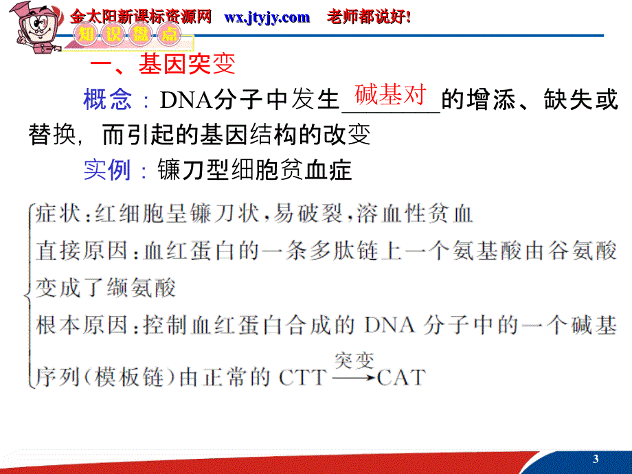 高三生物复习安徽用必修2第18讲基因突变基因重组和染色体变异ash课件_第3页