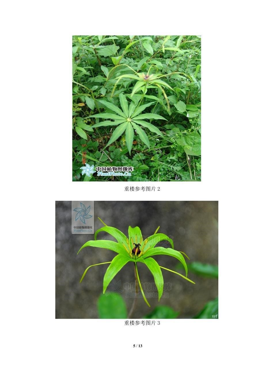 野生植物资源调查物种分类特征_第5页