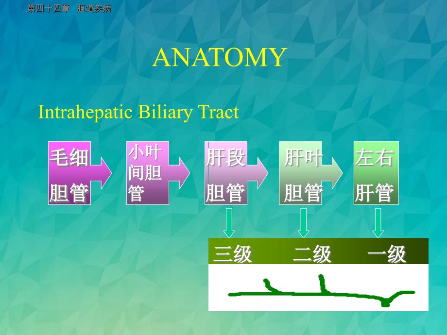 胆道疾病双语课件_第3页