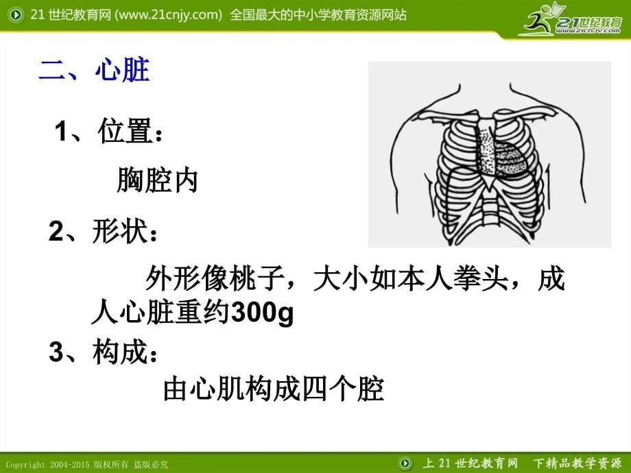 第三节人体内的物质运输（全）_第5页