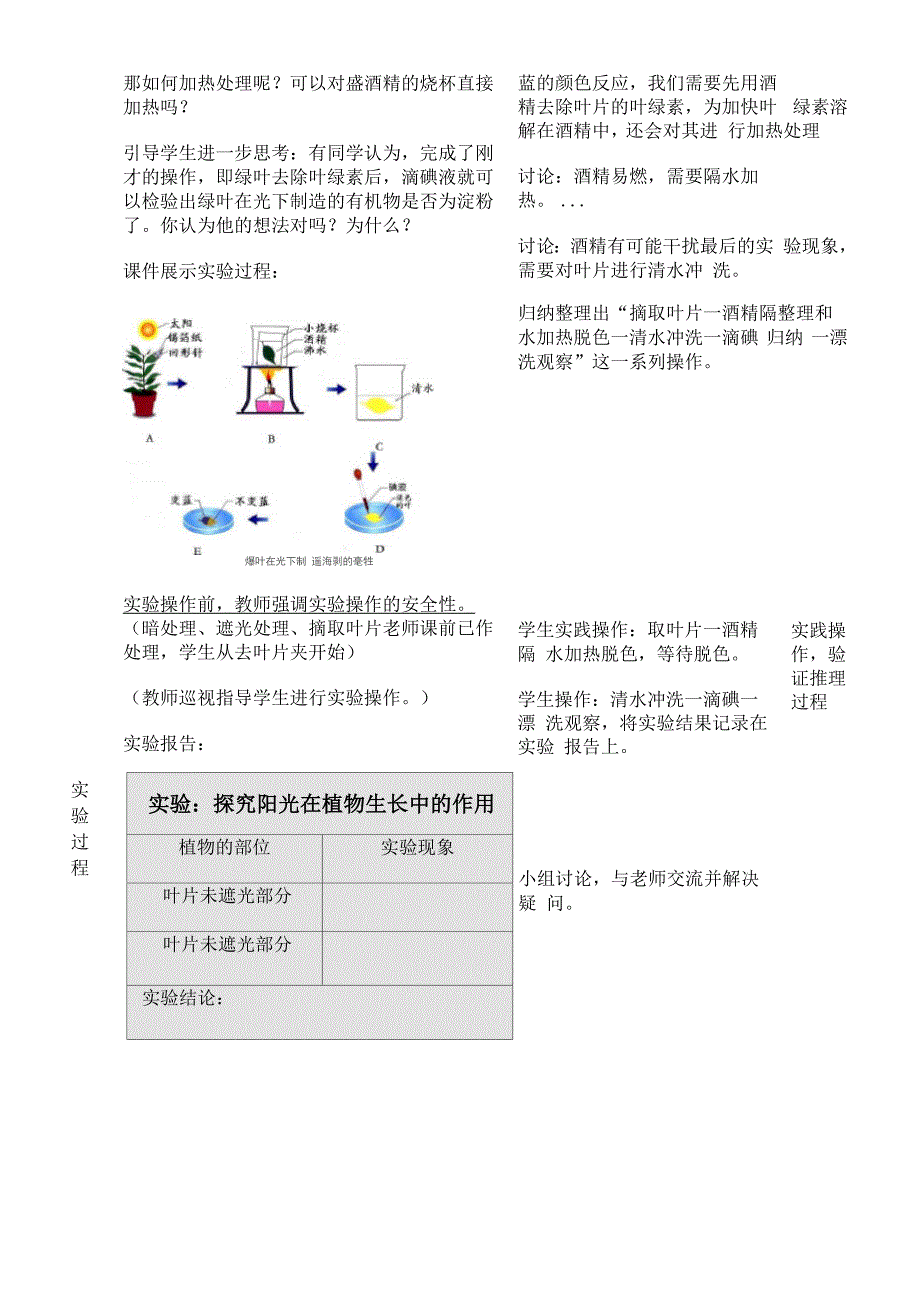 探究阳光在植物生长中的作用_第3页