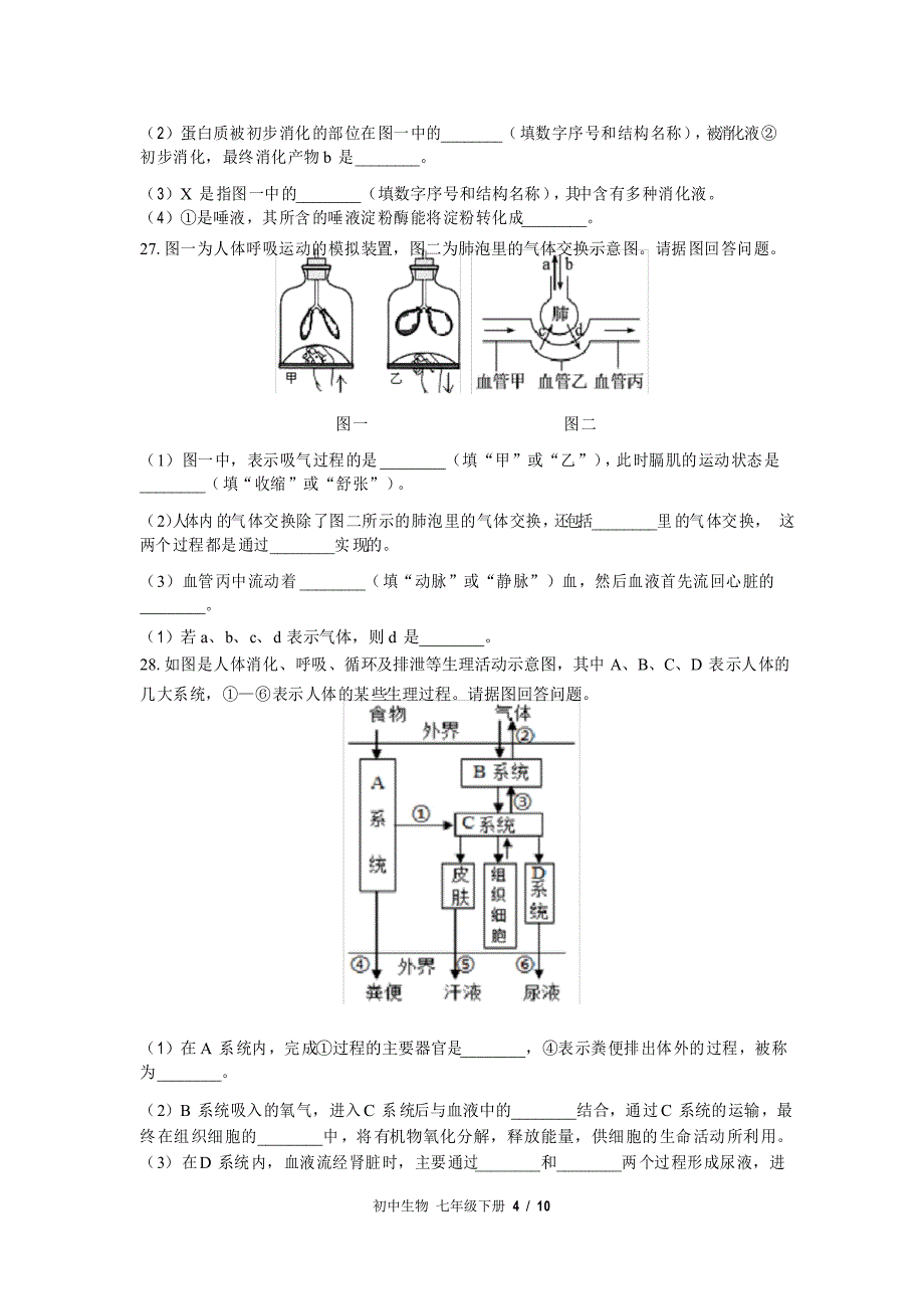 苏教版生物七年级下册期中测试_第4页