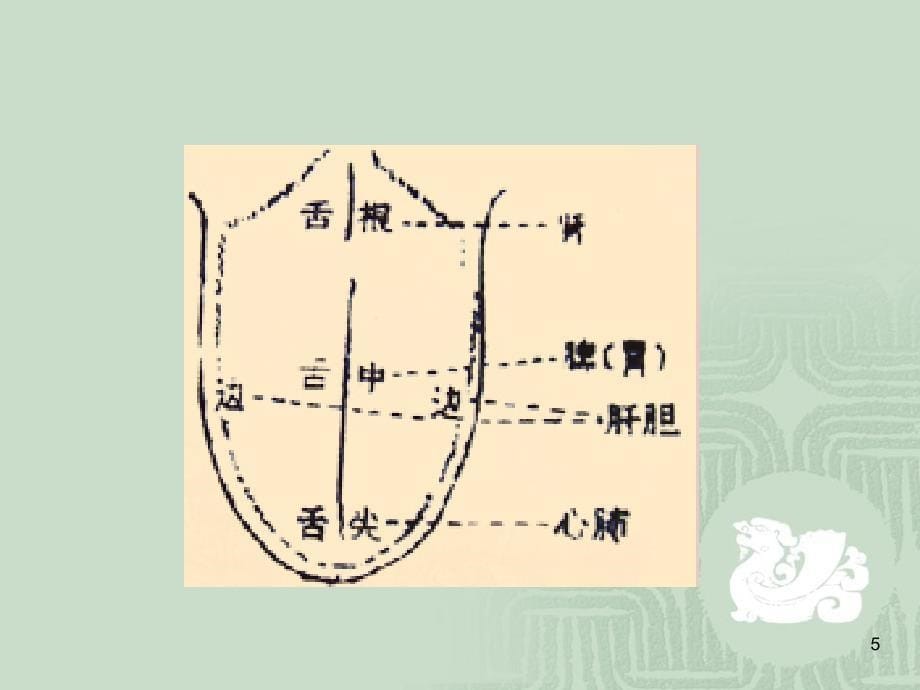 中医基础讲座ppt参考课件_第5页