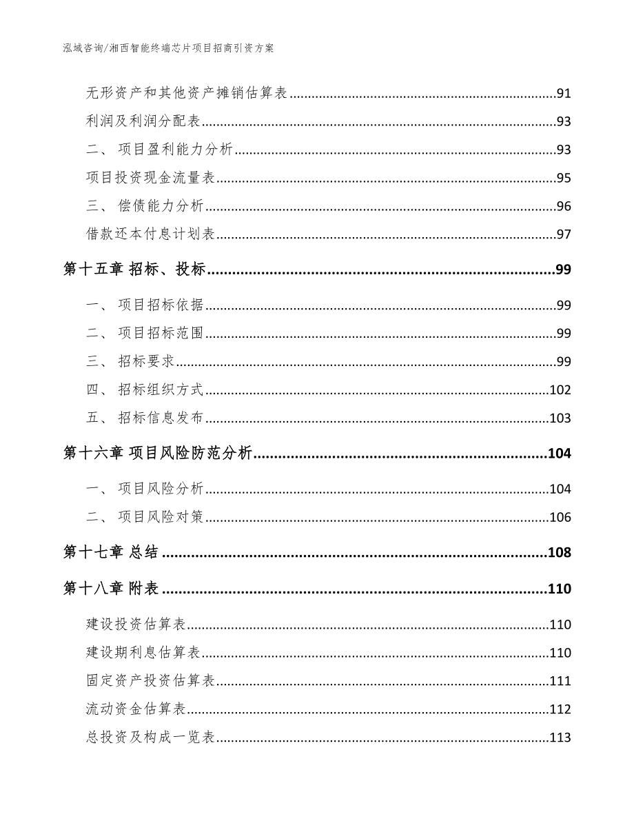 湘西智能终端芯片项目招商引资方案_参考模板_第5页