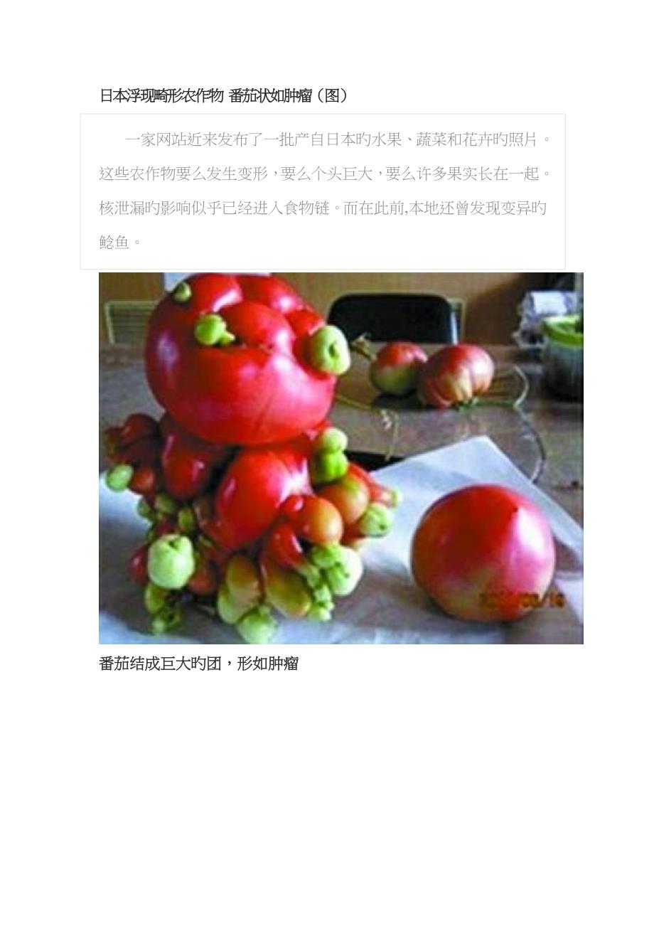 日本出现畸形农作物 番茄状如肿瘤_第1页