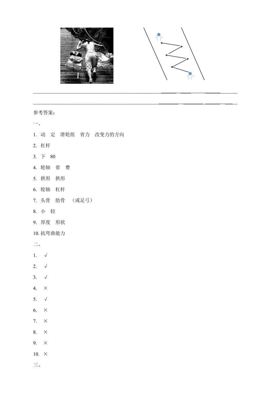 教科版科学六年级上册期中测试题及答案_第5页