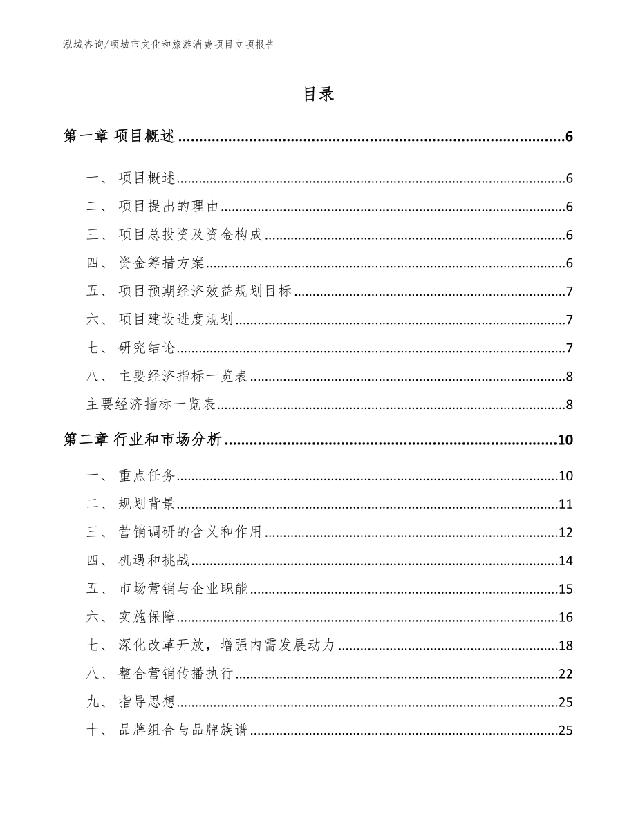 项城市文化和旅游消费项目立项报告【参考模板】_第2页