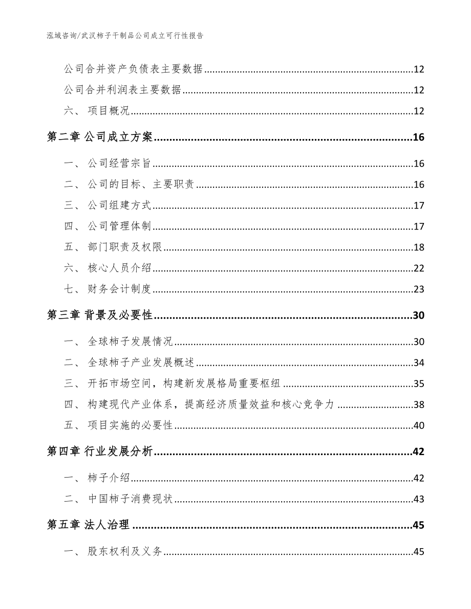 武汉柿子干制品公司成立可行性报告范文模板_第4页