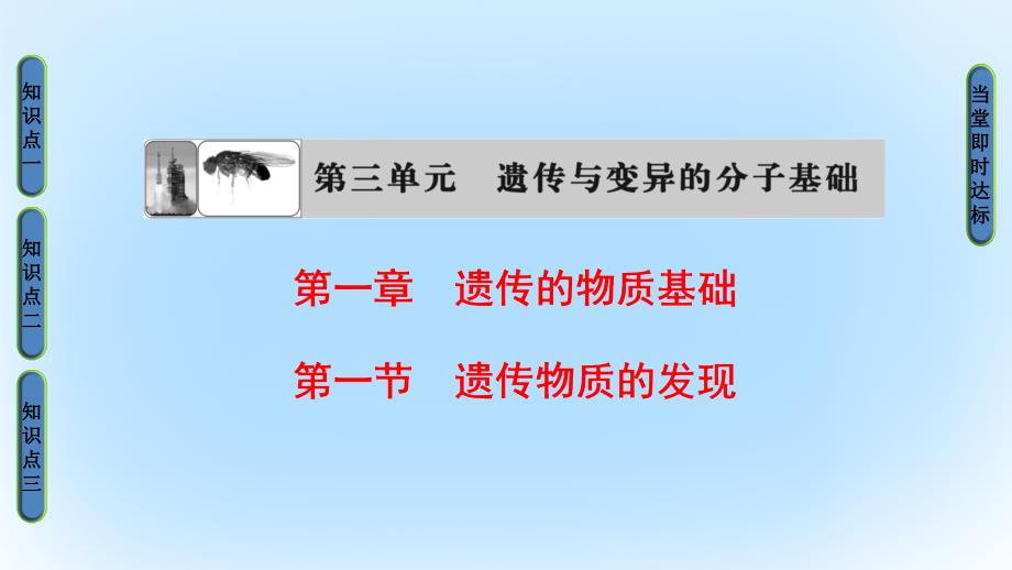 2016-2017版高中生物第3单元遗传与变异的分子基础第1章遗传的物质基础第1节遗传物质的发现课件中图版必修2.ppt_第1页