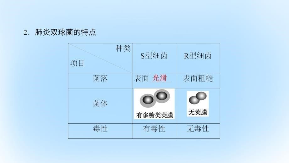 2016-2017版高中生物第3单元遗传与变异的分子基础第1章遗传的物质基础第1节遗传物质的发现课件中图版必修2.ppt_第5页