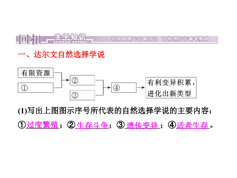 现代生物进化理论_第3页