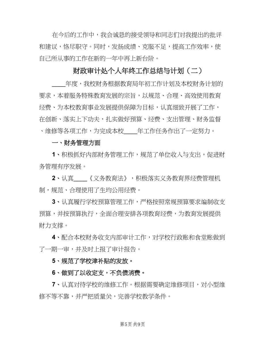 财政审计处个人年终工作总结与计划（三篇）.doc_第5页