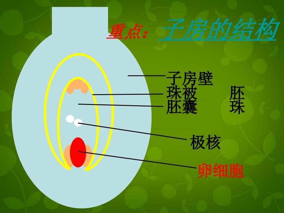 北京市和平北路学校八年级生物下册 7.1.1 植物的生殖课件 新人教版_第5页