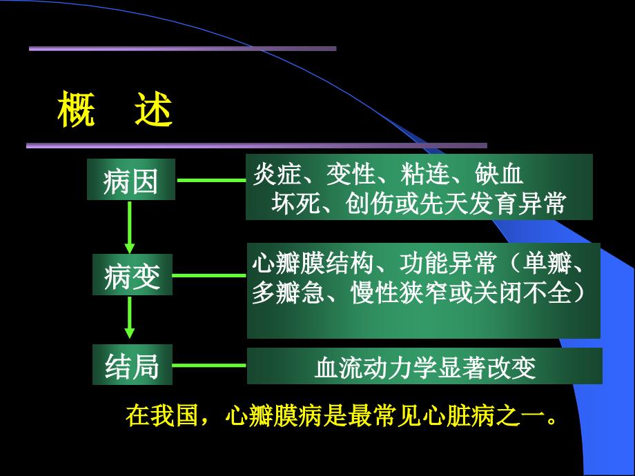 心脏瓣膜病 感染性心内膜炎_第2页