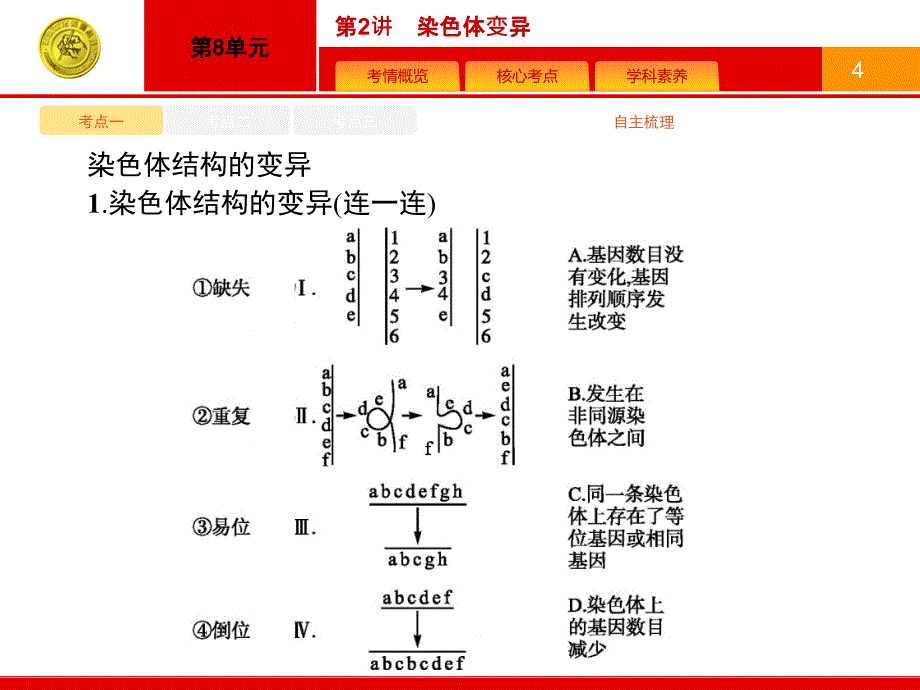 【精品】【人教版】高三生物一轮复习：8.2《染色体变异》ppt课件（可编辑）_第4页