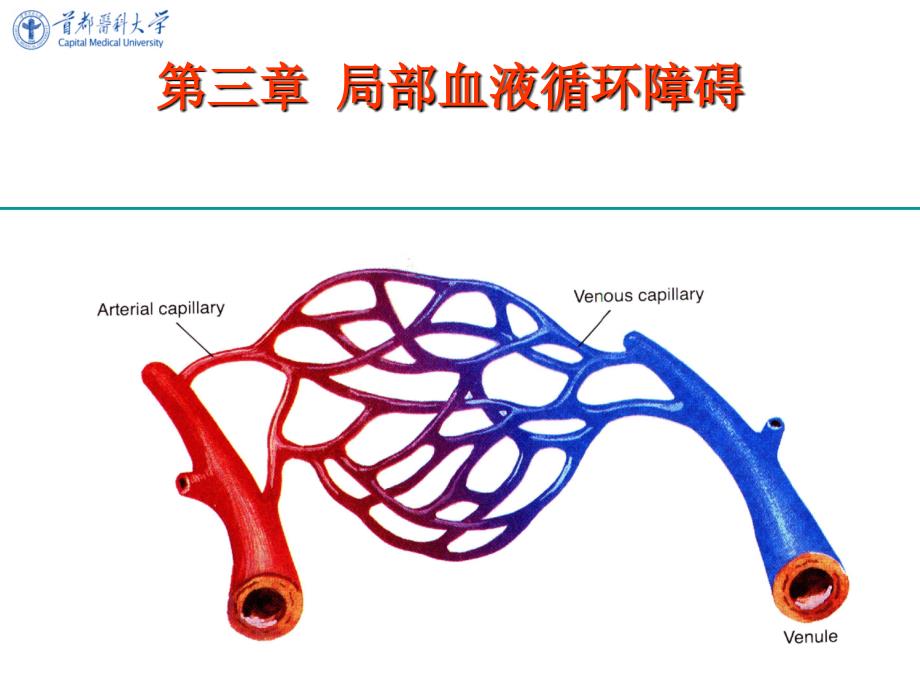 病理学课件：第三章 局部血液循环障碍_第1页