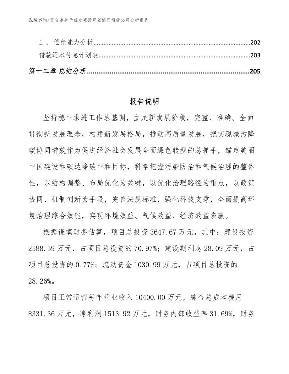 灵宝市关于成立减污降碳协同增效公司分析报告_模板参考_第5页