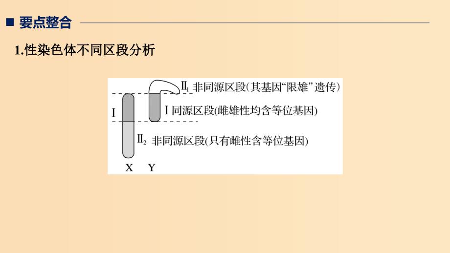 （全国通用版）2019高考生物二轮复习 专题三 基因的遗传规律 考点2 伴性遗传与人类遗传病课件.ppt_第2页