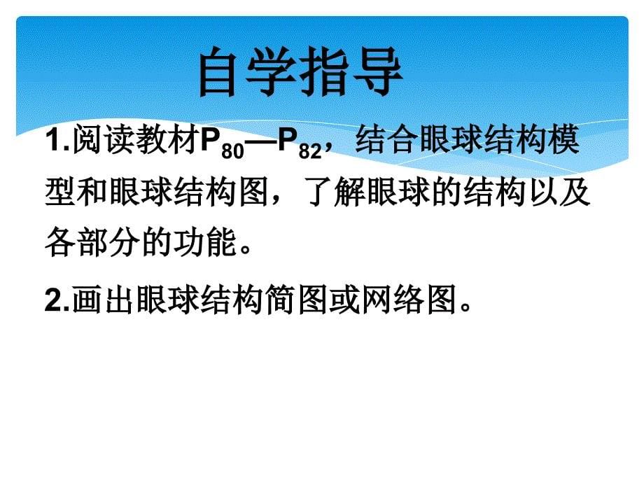 七年级生物下册122眼与视觉课件北师大版图文_第5页