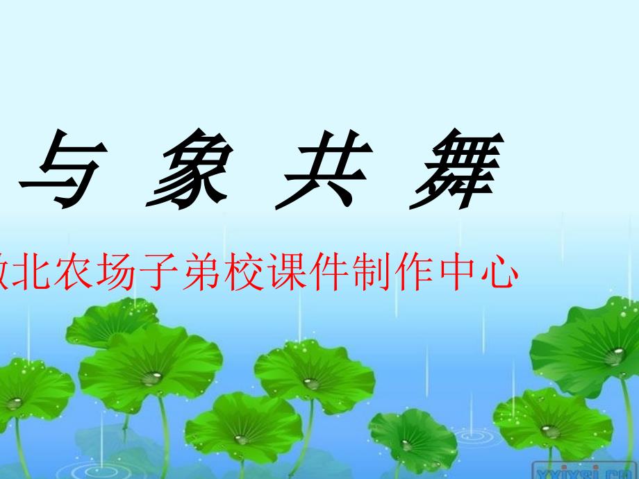 与象共舞_第1页