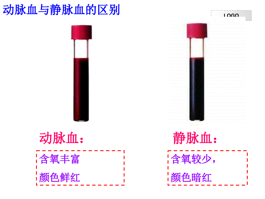 443（2）输送血液的泵心脏2_第4页