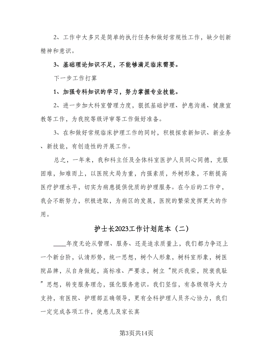 护士长2023工作计划范本（5篇）_第3页