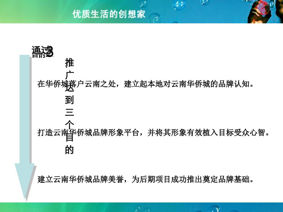 云南华侨城品牌整合传播及阶段性推广执行案_第4页