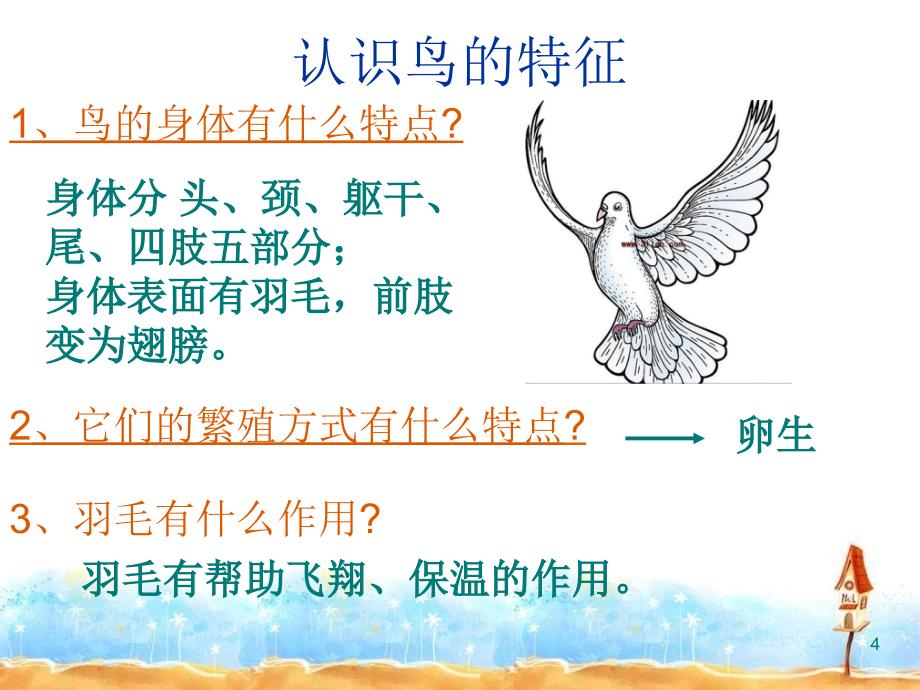 五上科学林中的鸟_第4页