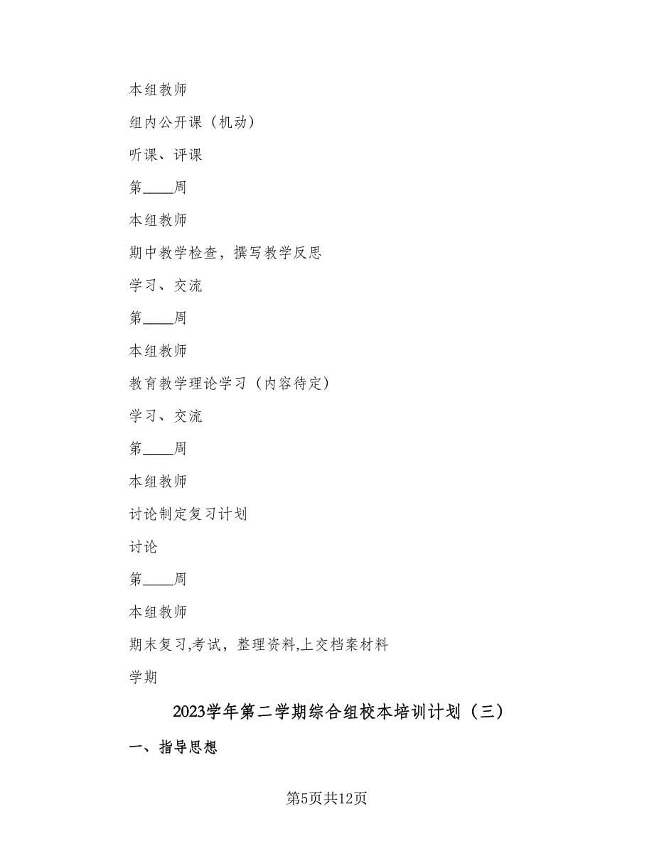 2023学年第二学期综合组校本培训计划（三篇）.doc_第5页