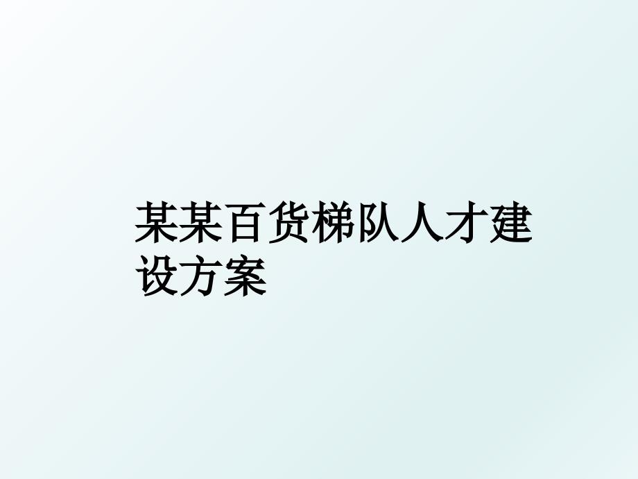 某某百货梯队人才建设方案_第1页
