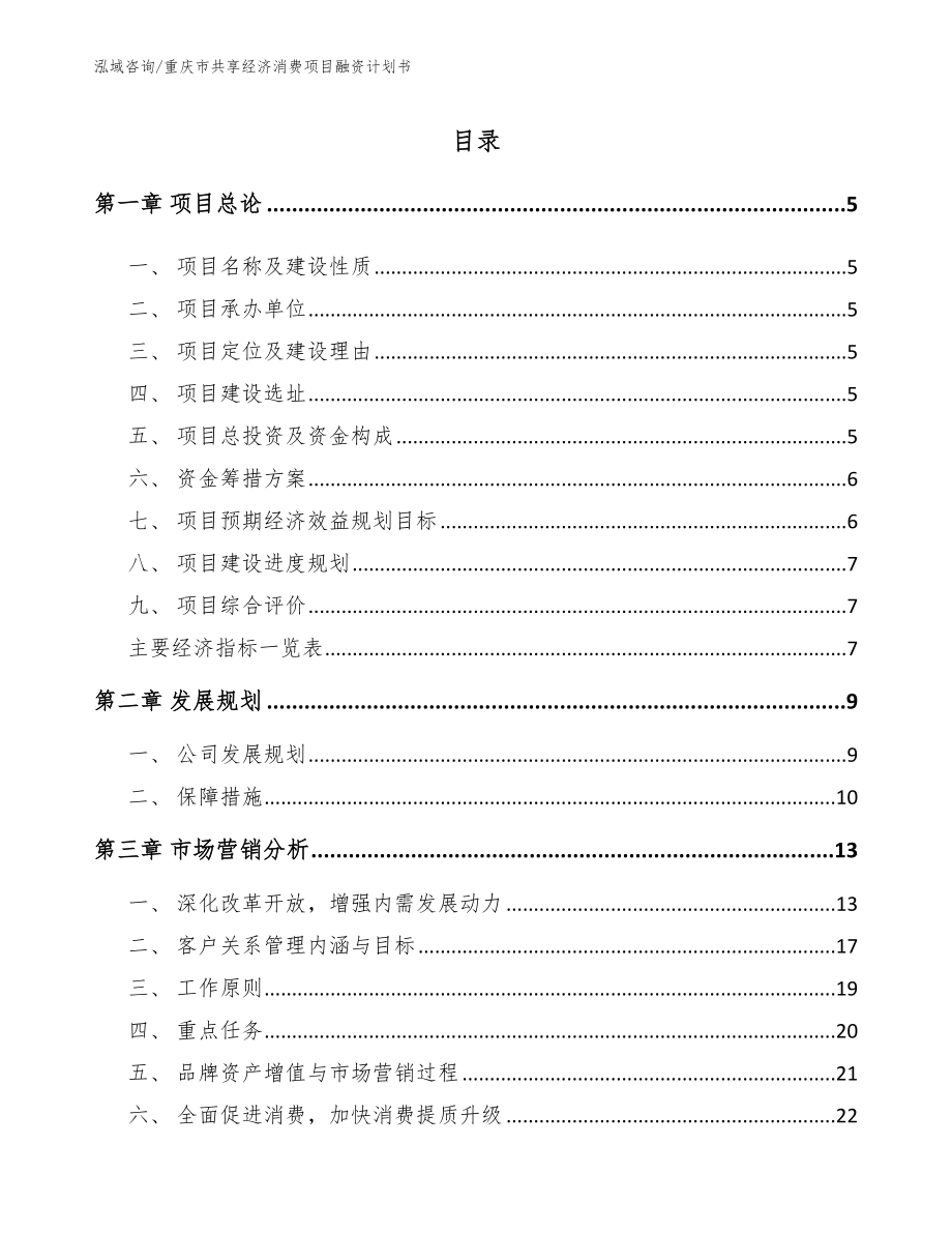 重庆市共享经济消费项目融资计划书_第1页