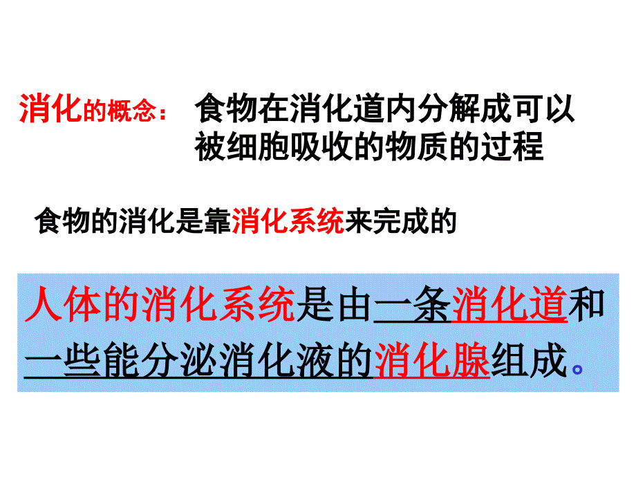 人教版生物七年级下册：消化与吸收-课件_第4页