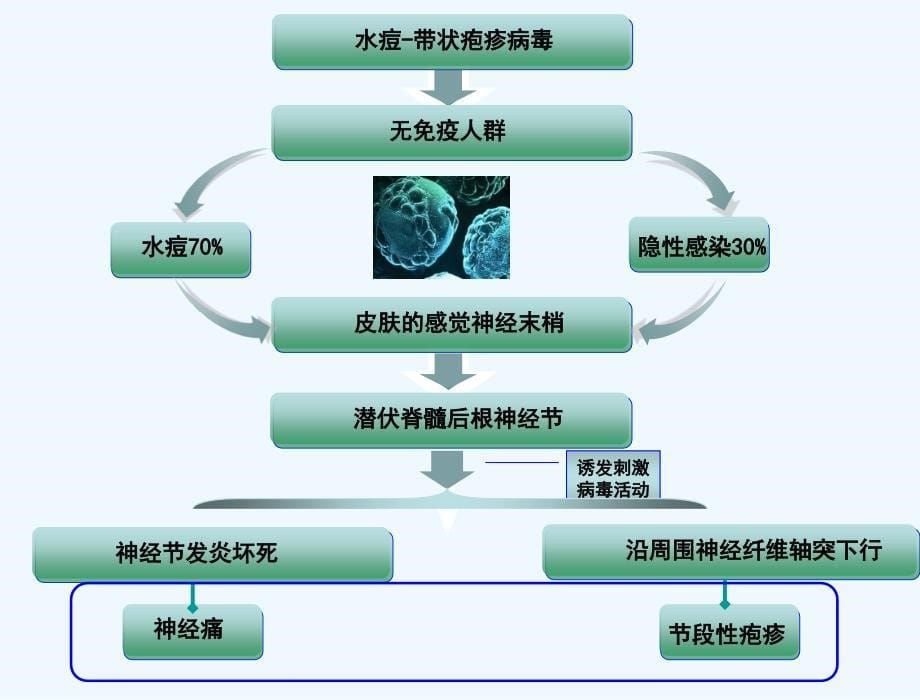 带状疱疹中医治疗_第5页