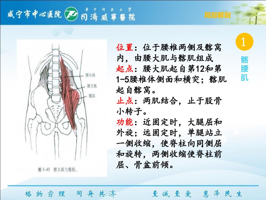 下交叉综合征（呼吸与鼻）_第2页