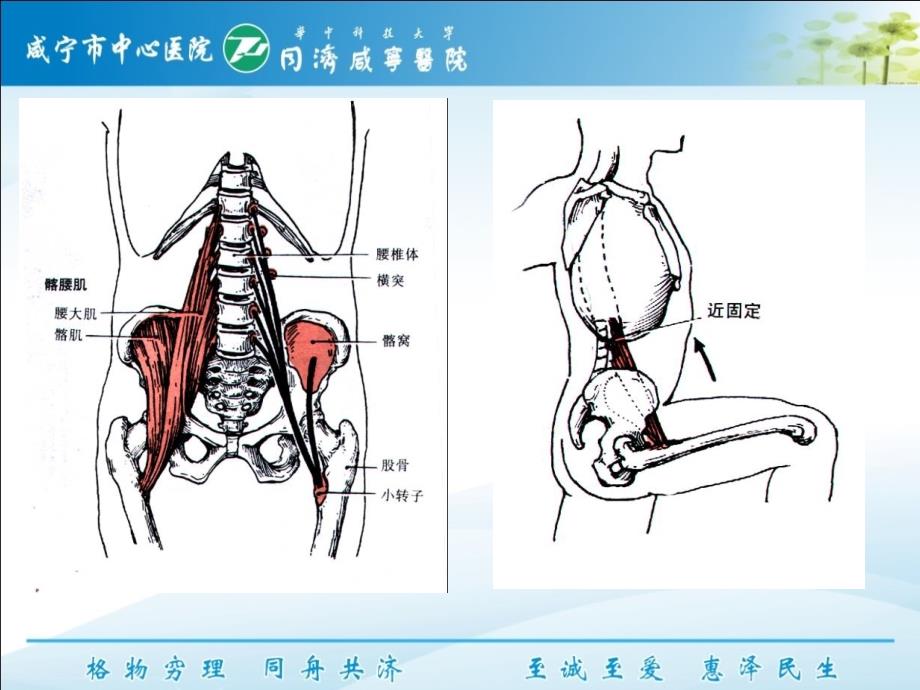 下交叉综合征（呼吸与鼻）_第3页