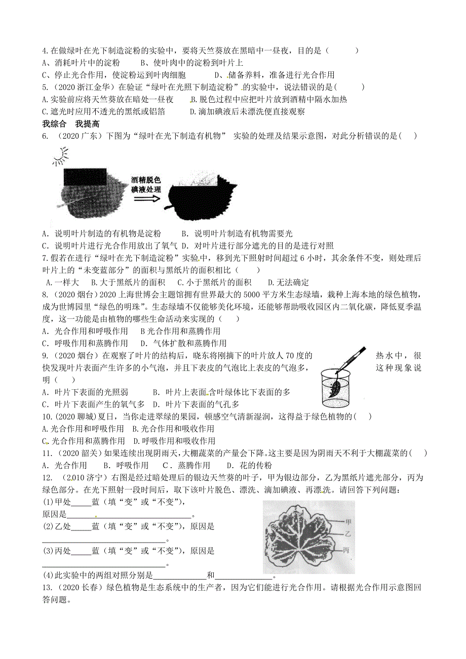 精选类山东省高密市银鹰文昌中学七年级生物上册绿色植物的光合作用一学案无答案_第3页