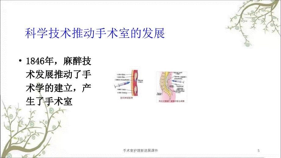 手术室护理新进展课件_第5页