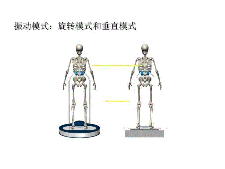 全身振动训练(张)备课讲稿_第3页