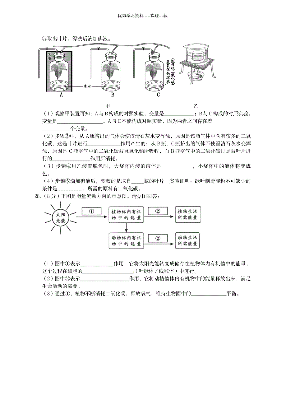 七年级生物上册第三单元第五章《绿色植物与生物圈中的碳—氧平衡》习题精选(新版)新人教版_中学教育-中考_第4页