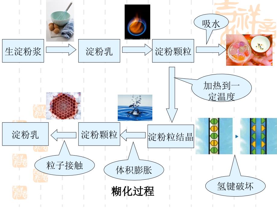 淀粉糊化详解ppt课件_第3页