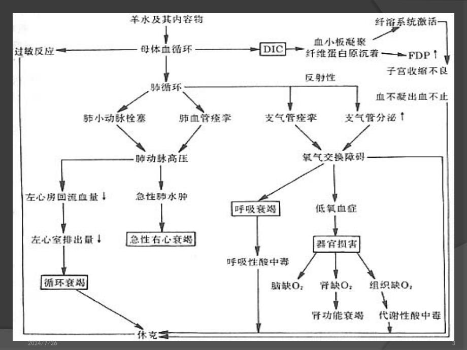 羊水栓塞的指南专家共识PPT幻灯片_第3页