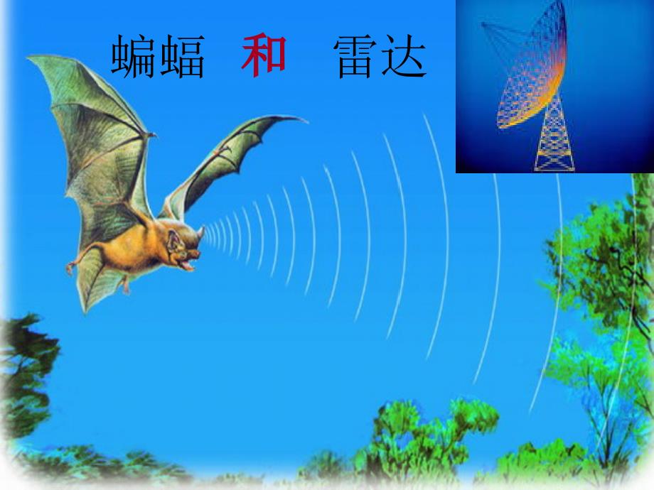 蝙蝠和雷达PPT人教版新课标四年级语文下册_第1页