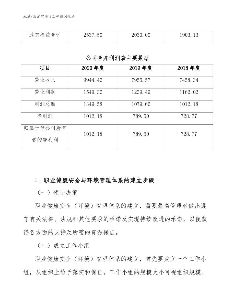 莱富尔项目工程组织规划（参考）_第4页