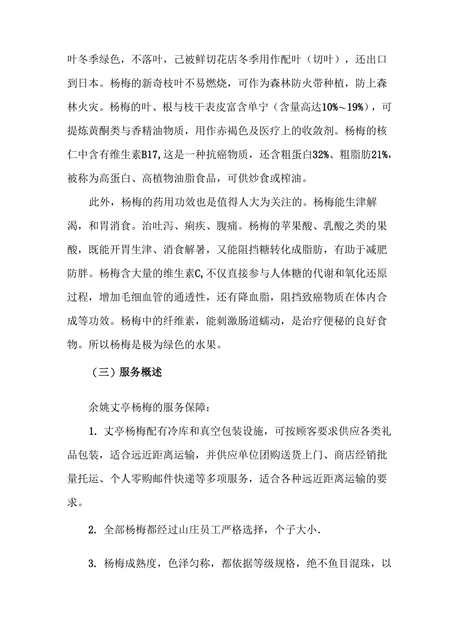 杨梅网络营销方案_第4页