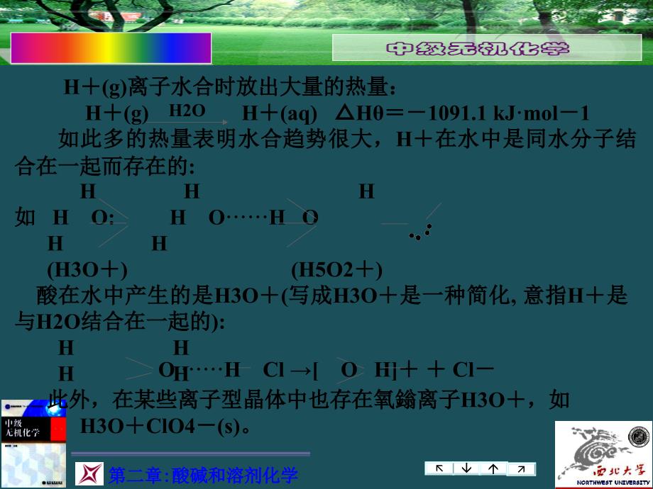 c酸碱和溶剂化学ppt课件_第4页